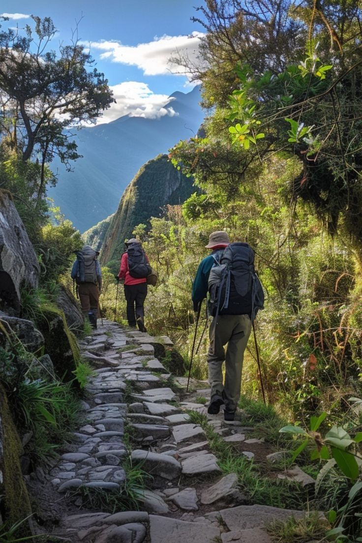 caminoinca5