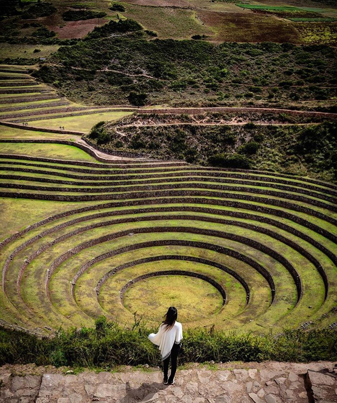 moray